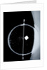Globe x-ray by Isaac Habrecht II