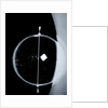 Globe x-ray by Isaac Habrecht II