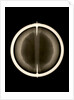 Globe x-ray by Joannes Oterschaden