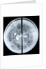 Globe x-ray by Jodocus Hondius Jr