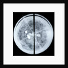 Globe x-ray by Jodocus Hondius Jr