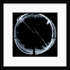 Globe x-ray by Vincenzo Coronelli