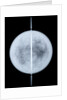 Globe x-ray by Jodocus Hondius