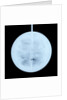 Globe x-ray by Peter Anich