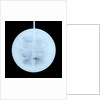 Globe x-ray by Peter Anich