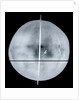 Globe x-ray by Gemma Frisius