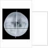 Globe x-ray by Gemma Frisius
