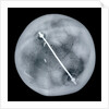 Globe x-ray by Gemma Frisius
