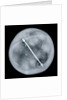 Globe x-ray by Gemma Frisius