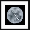 Globe x-ray by Gemma Frisius