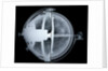 Globe x-ray by John Russell
