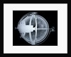Globe x-ray by John Russell