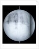 Globe x-ray by Guillaume de L'Isle