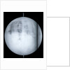 Globe x-ray by Guillaume de L'Isle