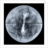 Globe x-ray by Jacques Hardy