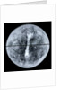 Globe x-ray by Jacques Hardy