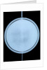 Globe x-ray by Willem Jansz Blaeu