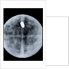 Globe x-ray by Jodocus Hondius