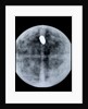 Globe x-ray by Jodocus Hondius