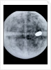 Globe x-ray by Jodocus Hondius