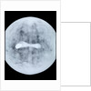 Globe x-ray by Jodocus Hondius