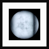 Globe x-ray by Robert Morden