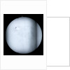 Globe x-ray by Robert Morden