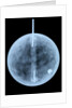 Globe x-ray by William Bardin