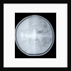Globe x-ray by Jacob Aertsz Colom