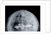 Globe x-ray by Jacob Aertsz Colom