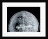 Globe x-ray by Jacob Aertsz Colom