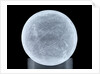 Globe x-ray by unknown