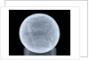 Globe x-ray by unknown