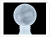 Globe x-ray by Moll