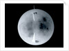 Globe x-ray by Dudley Adams
