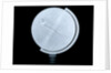 Globe x-ray by Newton & Co.