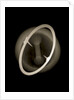Globe x-ray by Joannes Oterschaden