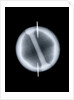 Globe x-ray by Joannes Oterschaden