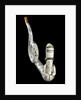 Pipe by unknown