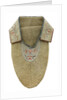 Moccasin by unknown