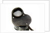 Binoculars by Carl Zeiss