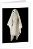 Puppet 'Ghost', part of Punch and Judy set by unknown