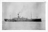 'Waratah' (Br, 1908) by unknown