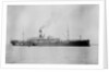 'Waratah' (Br, 1908) by unknown