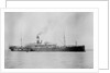 'Waratah' (Br, 1908) by unknown