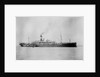 'Waratah' (Br, 1908) by unknown