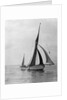 'Rathbale' (Br) sailing barge, under sail by unknown