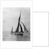 'Rathbale' (Br) sailing barge, under sail by unknown
