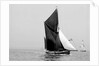 'Lord Nelson' (Br, 1898) sailing barge under sail by unknown