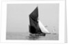 'Lord Nelson' (Br, 1898) sailing barge under sail by unknown